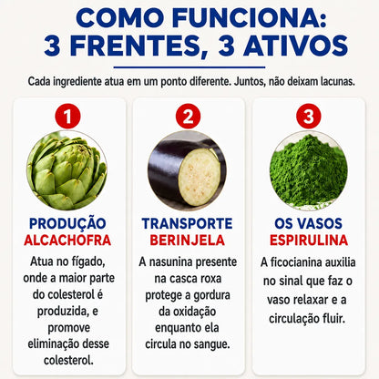 Extrato de Alcachofra, Berinjela e Espirulina - 120 Cápsulas
