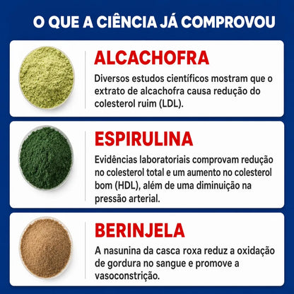 Extrato de Alcachofra, Berinjela e Espirulina - 120 Cápsulas