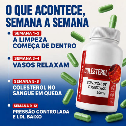 Extrato de Alcachofra, Berinjela e Espirulina - 120 Cápsulas