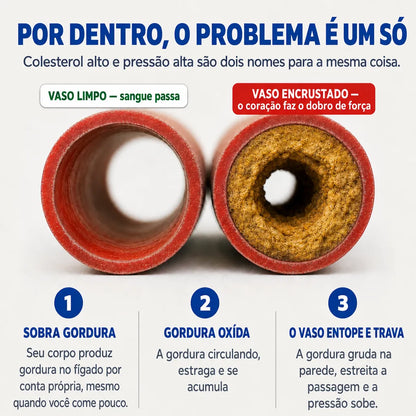 Extrato de Alcachofra, Berinjela e Espirulina - 120 Cápsulas